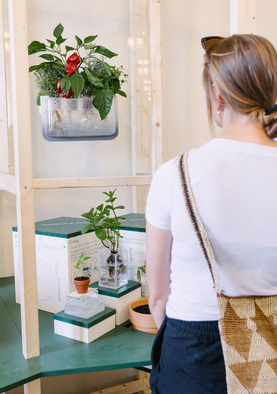 the window plot exhibited at the biotopia festival