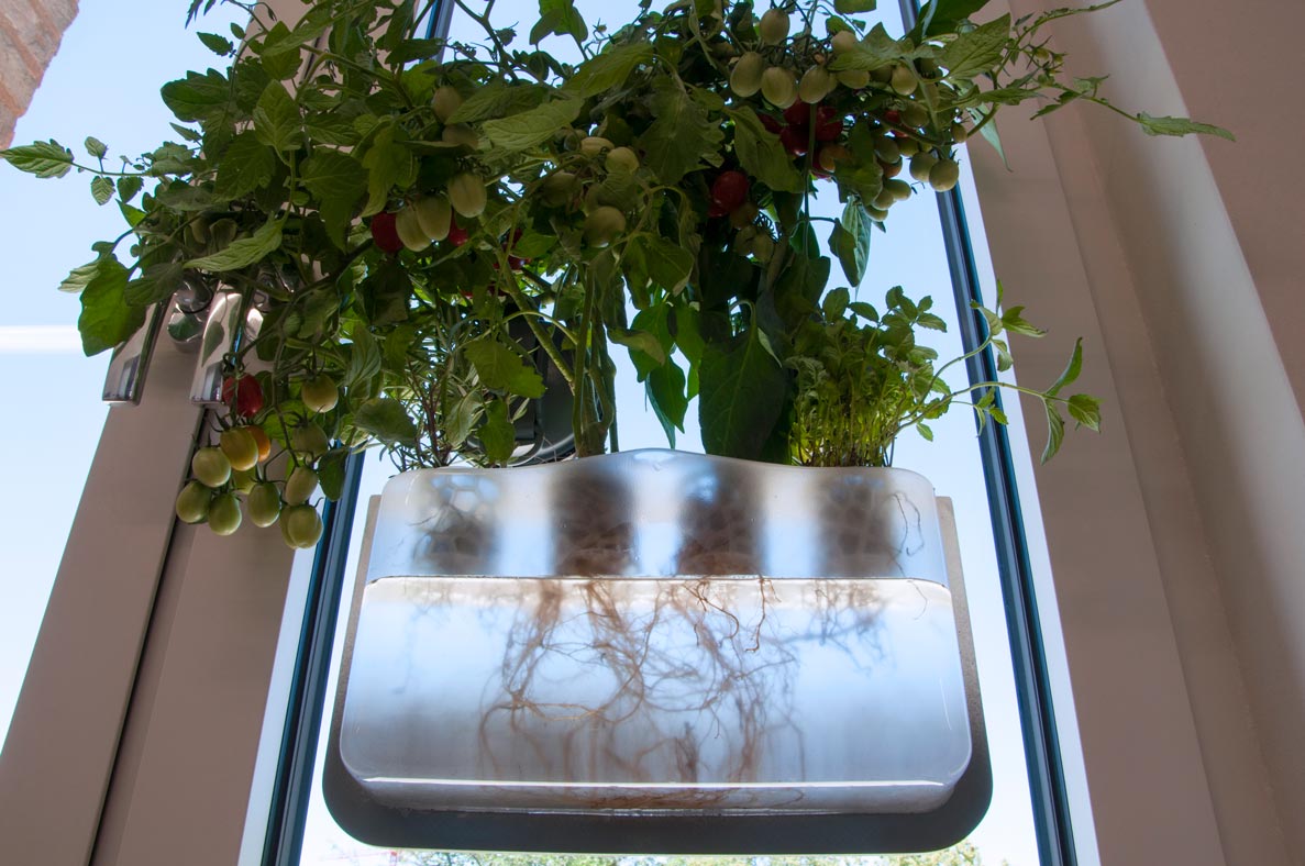 the window plot from below